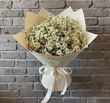 Букет Кустики радости в Новом Костеке Букет цветов из:  Ромашки в Новом Костеке