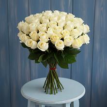 51 Белая роза Эдлесс Лав в Новом Костеке Букет 51 Белая роза Эдлесс Лав в Новом Костеке